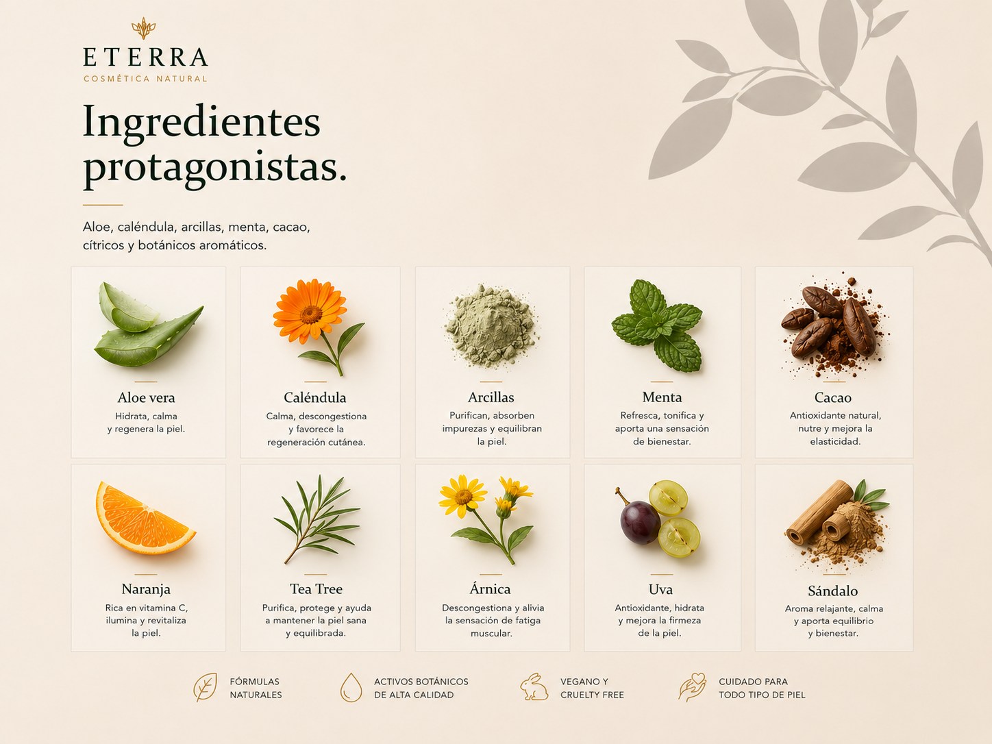 Ingredientes botánicos Eterra: aloe, caléndula, arcillas, menta, cacao y aromáticos